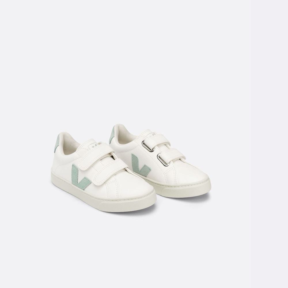 Kids' Veja Esplar Chromefree Leather Sneakers White | UAE-39125