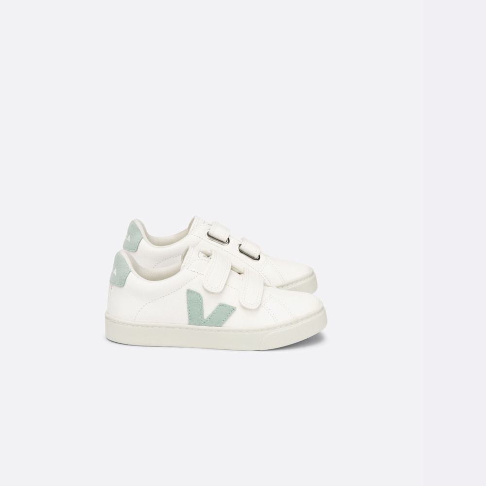 Kids\' Veja Esplar Chromefree Leather Sneakers White | UAE-39125