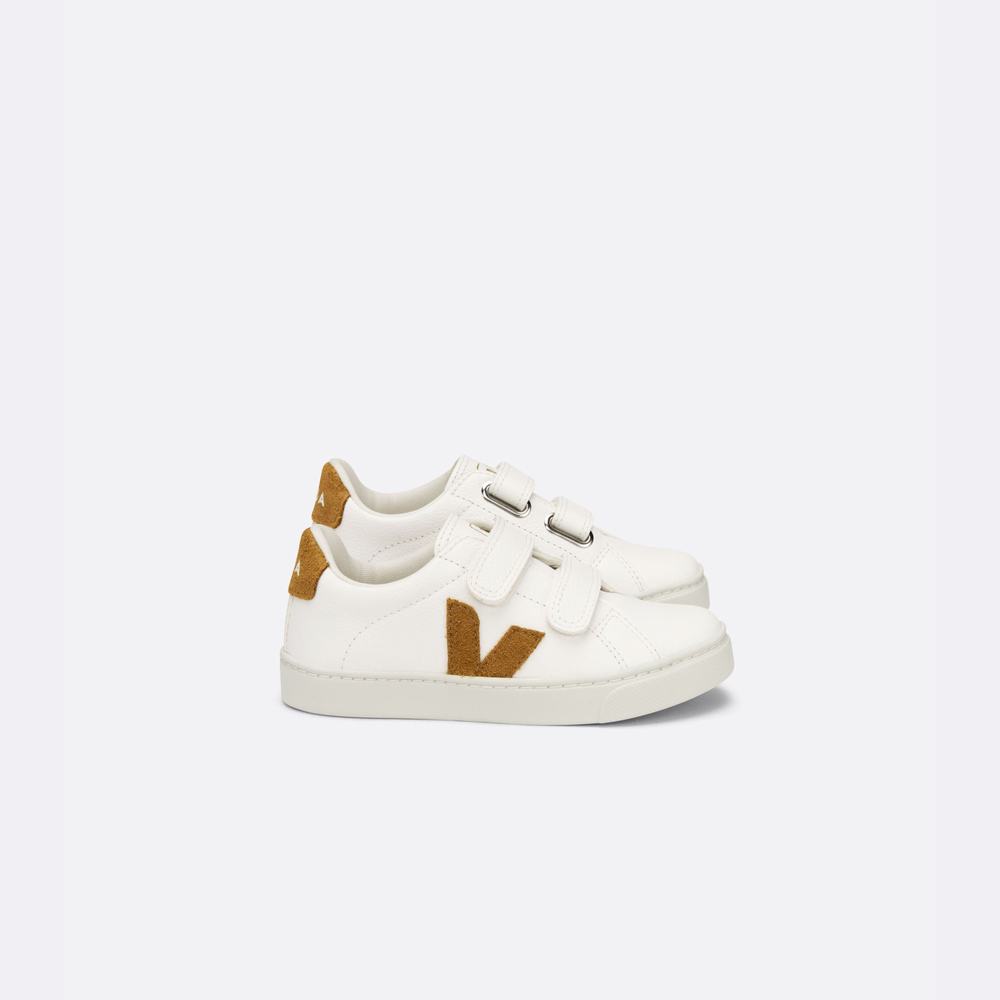 Kids\' Veja Esplar Chromefree Leather Sneakers White/Brown | UAE-94037