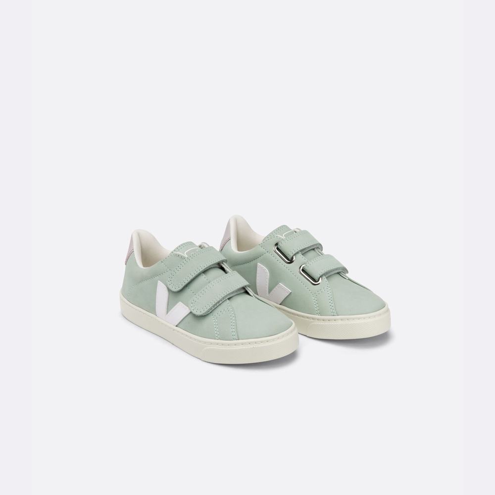 Kids' Veja Esplar Nubuck Sneakers White | UAE-36278