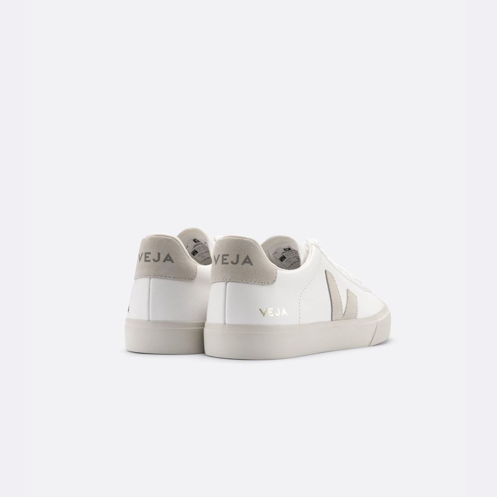 Men's Veja Campo Chromefree Sneakers White/Beige | UAE-09763