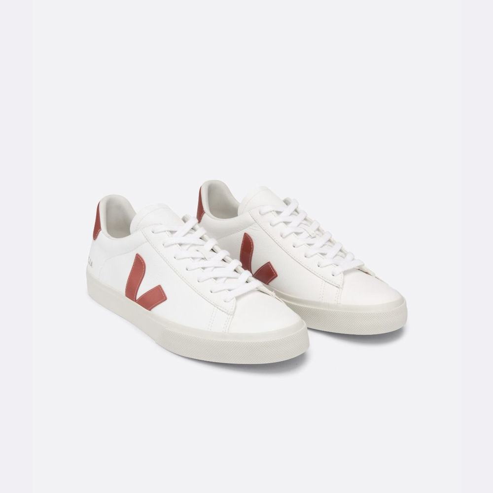 Men's Veja Campo Chromefree Sneakers White | UAE-51320