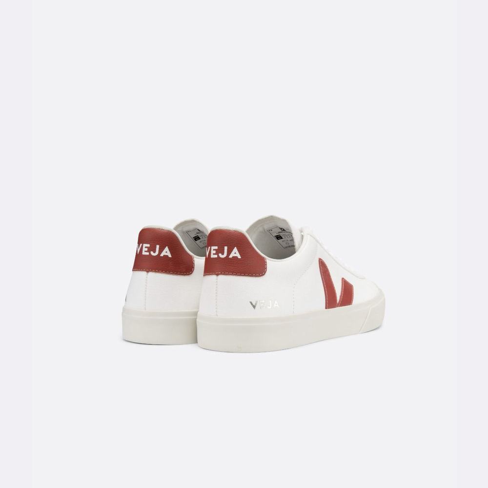 Men's Veja Campo Chromefree Sneakers White | UAE-51320