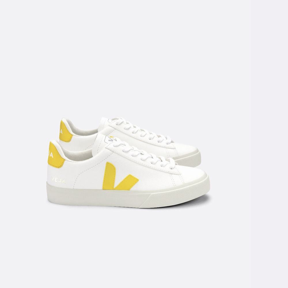 Men\'s Veja Campo Chromefree Sneakers White | UAE-81296