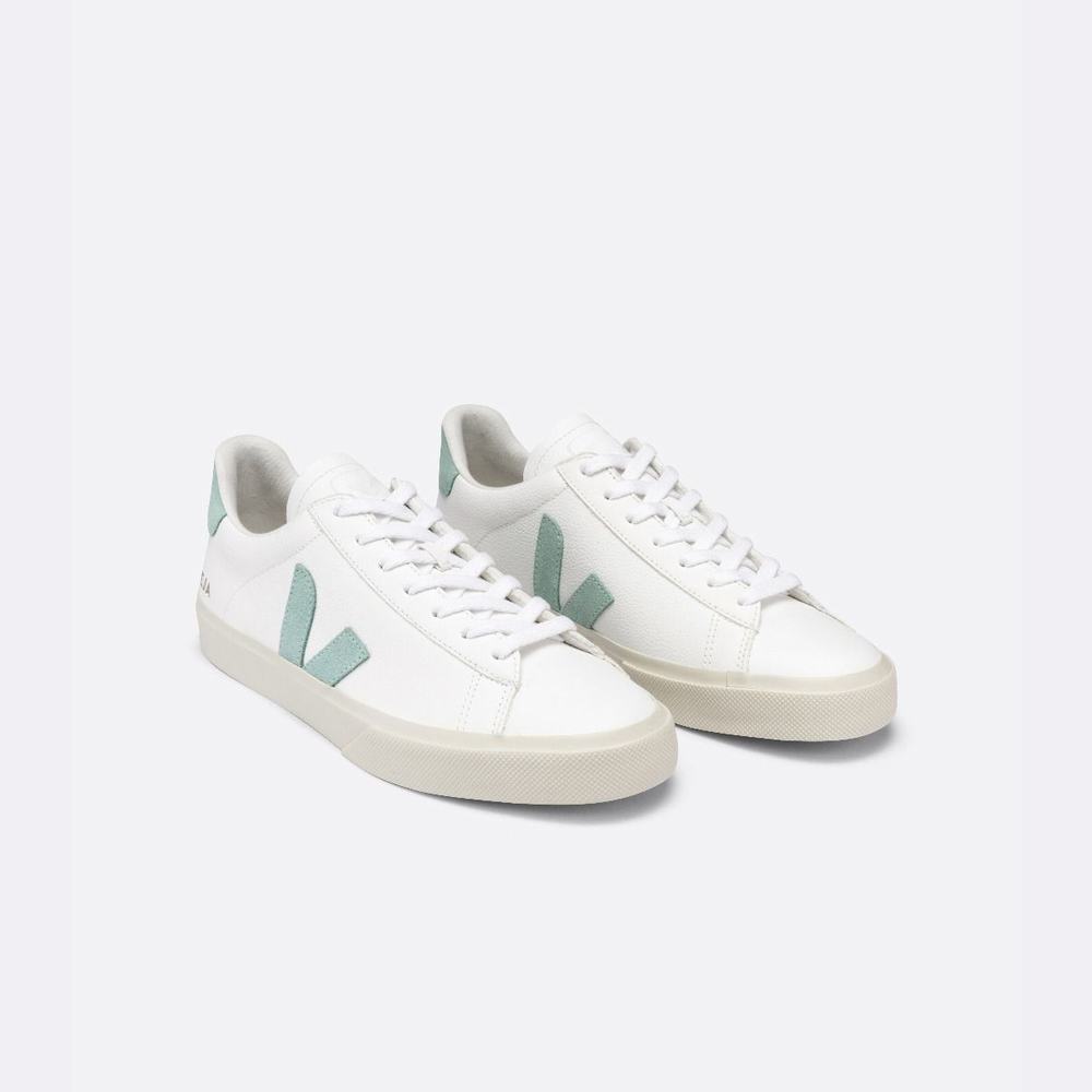 Men's Veja Campo Chromefree Sneakers White | UAE-83425