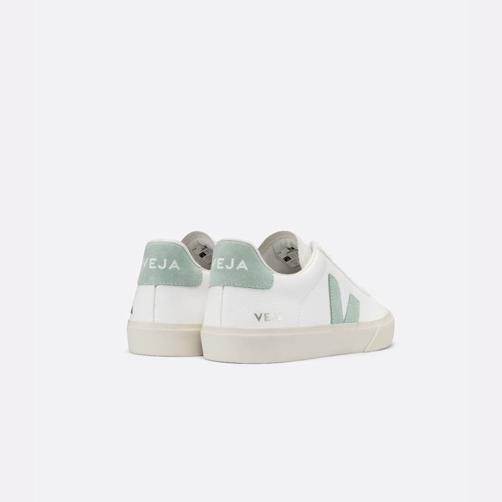 Men's Veja Campo Chromefree Sneakers White | UAE-83425