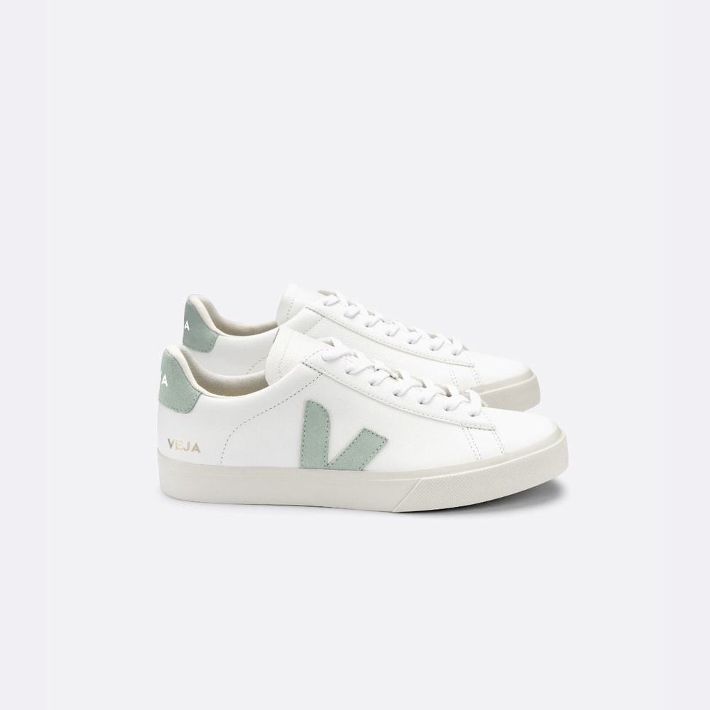 Men\'s Veja Campo Chromefree Sneakers White | UAE-83425