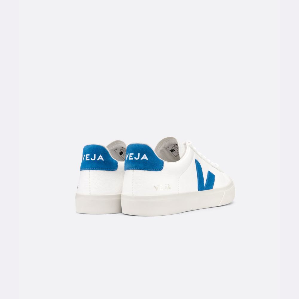 Men's Veja Campo Chromefree Sneakers White/Blue | UAE-84092