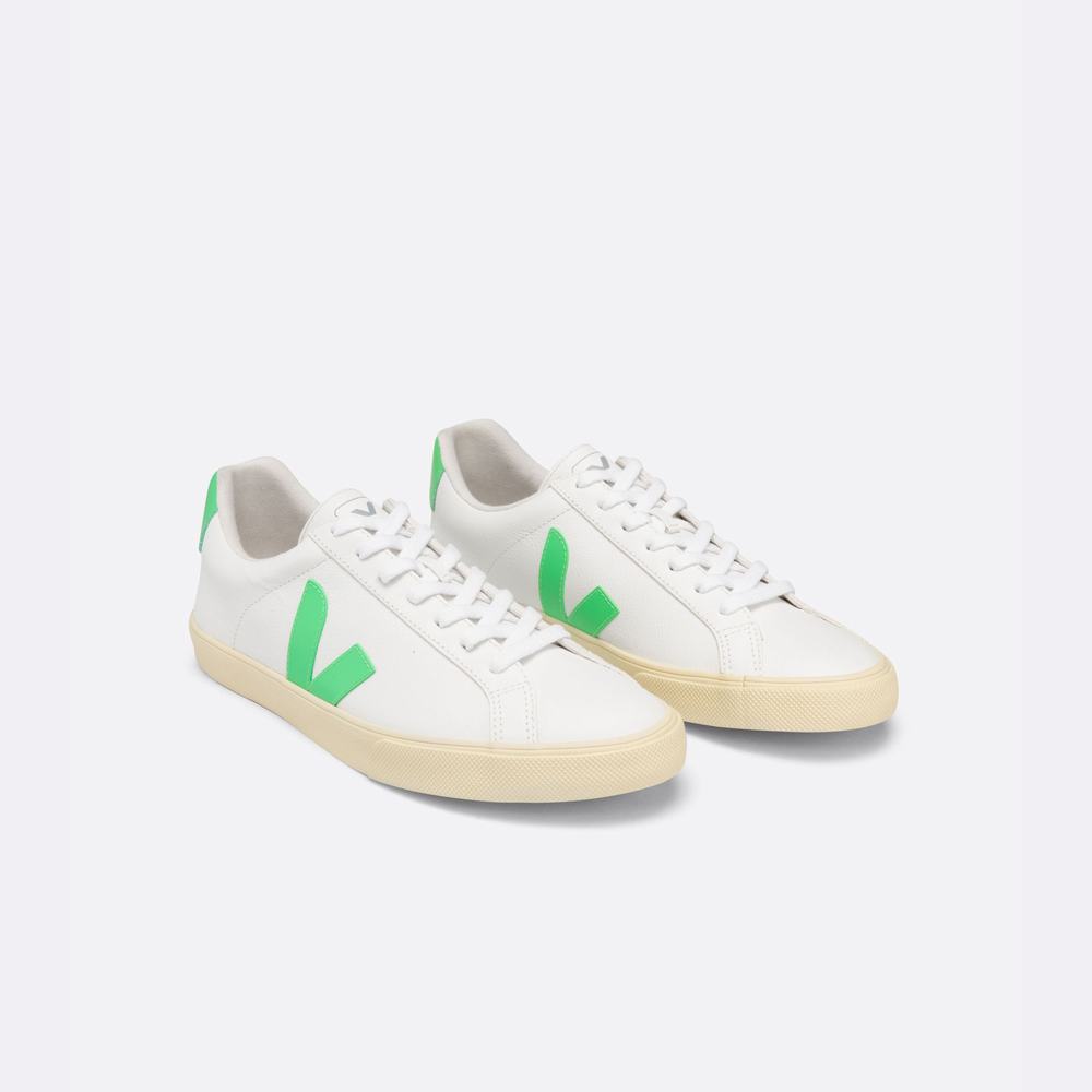 Men's Veja Esplar Chromefree Sneakers White | UAE-43178