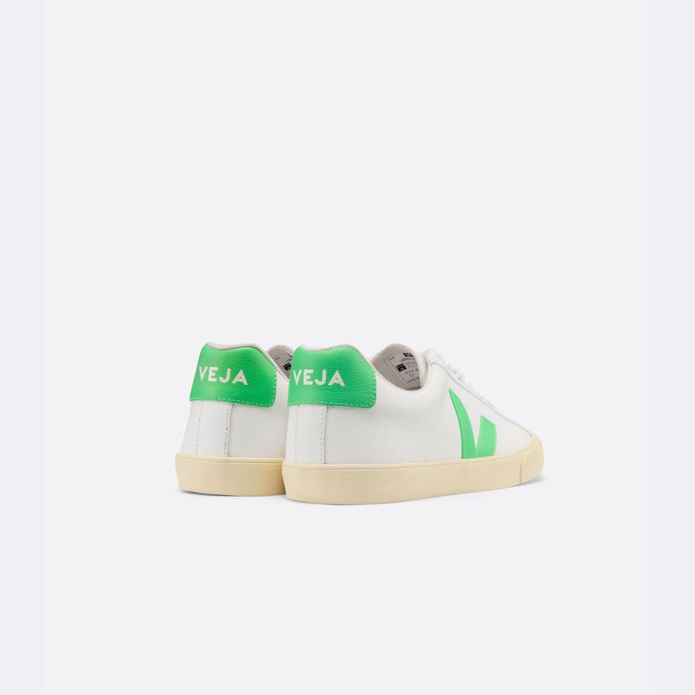 Men's Veja Esplar Chromefree Sneakers White | UAE-43178