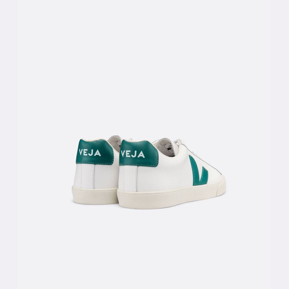 Men's Veja Esplar Leather Sneakers White/Brown | UAE-06782