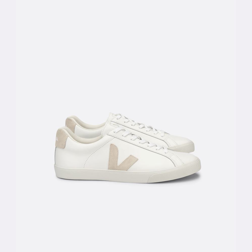 Men\'s Veja Esplar Leather Sneakers White | UAE-35019