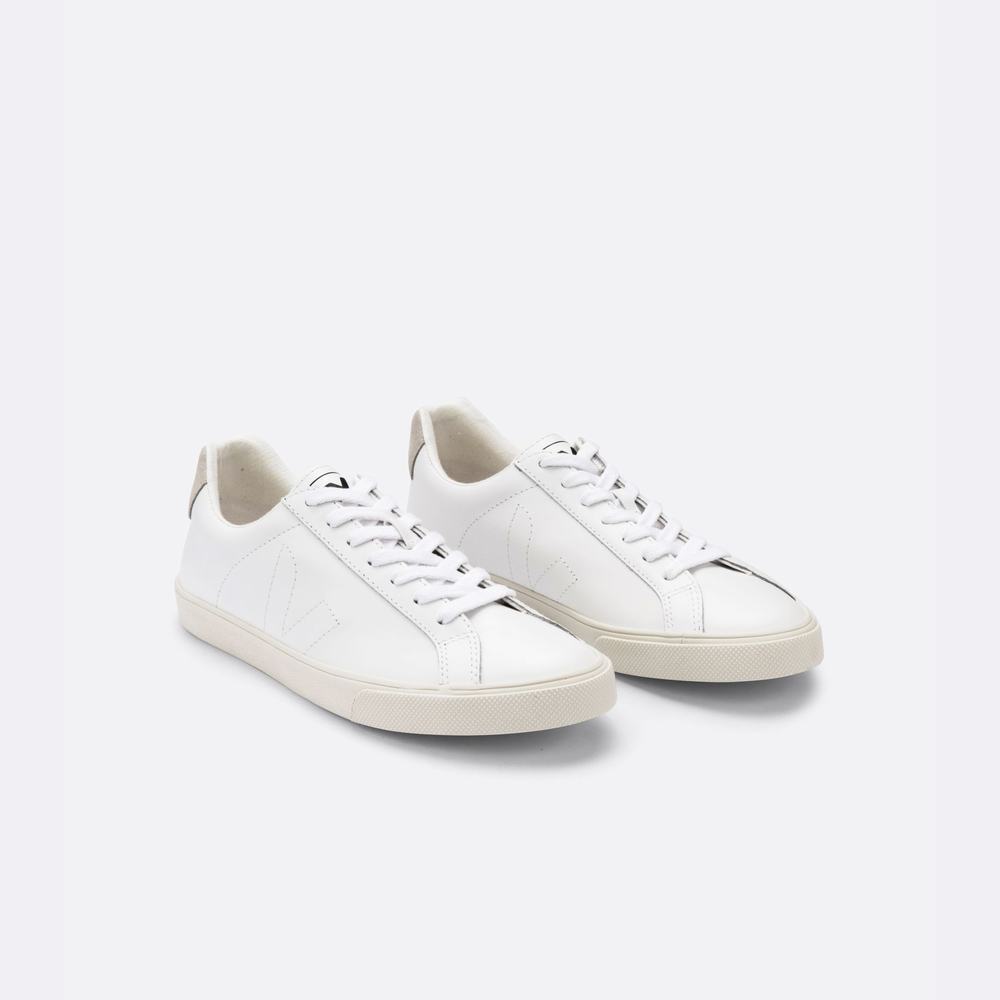 Men's Veja Esplar Leather Sneakers White | UAE-74129