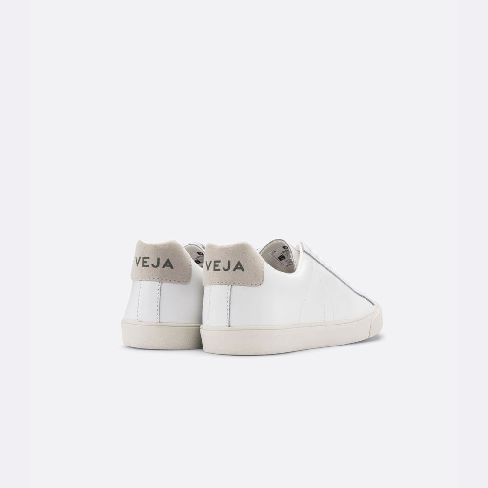 Men's Veja Esplar Leather Sneakers White | UAE-74129