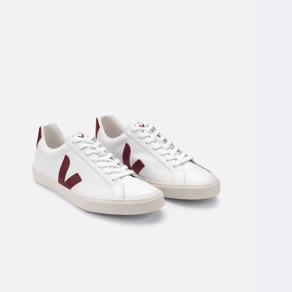 Men's Veja Esplar Leather Sneakers White | UAE-96128