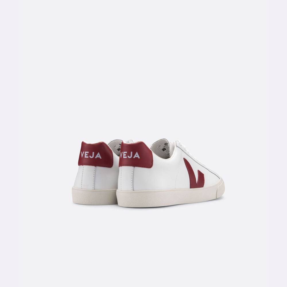 Men's Veja Esplar Leather Sneakers White | UAE-96128