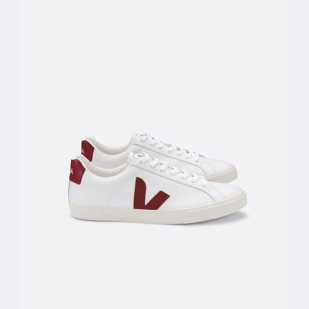 Men\'s Veja Esplar Leather Sneakers White | UAE-96128