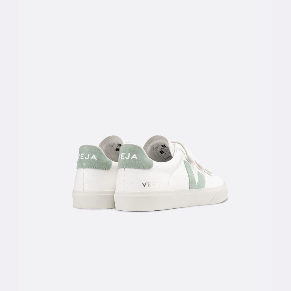 Men's Veja Recife Chromefree Leather Sneakers White | UAE-01682