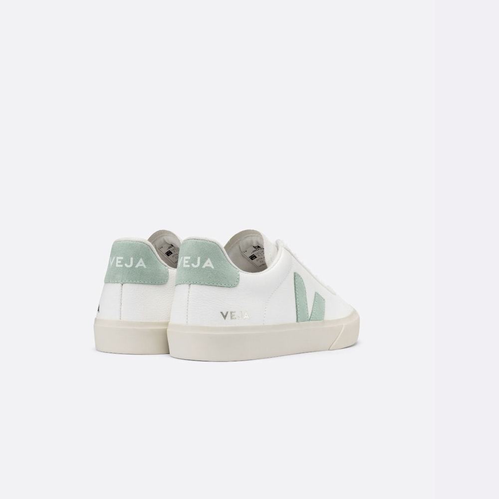 Women's Veja Campo Chromefree Sneakers White | UAE-31678