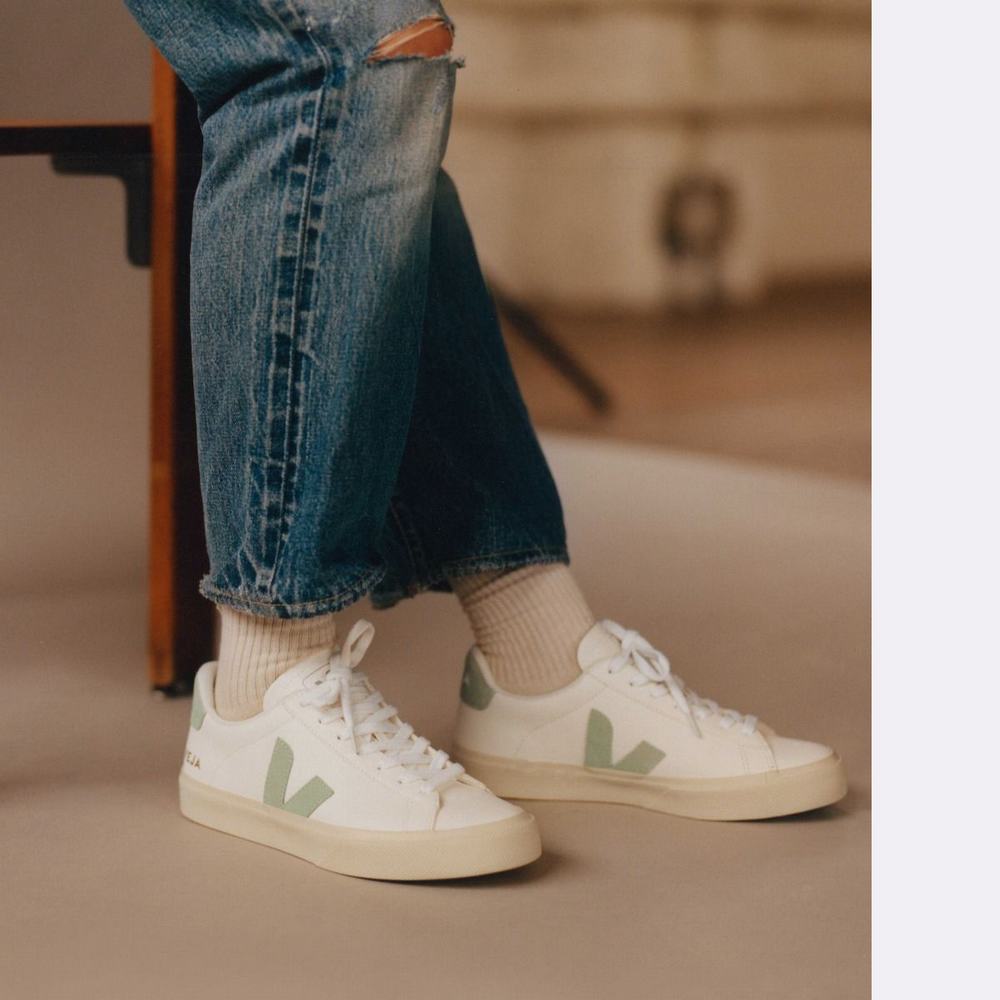 Women's Veja Campo Chromefree Sneakers White | UAE-31678