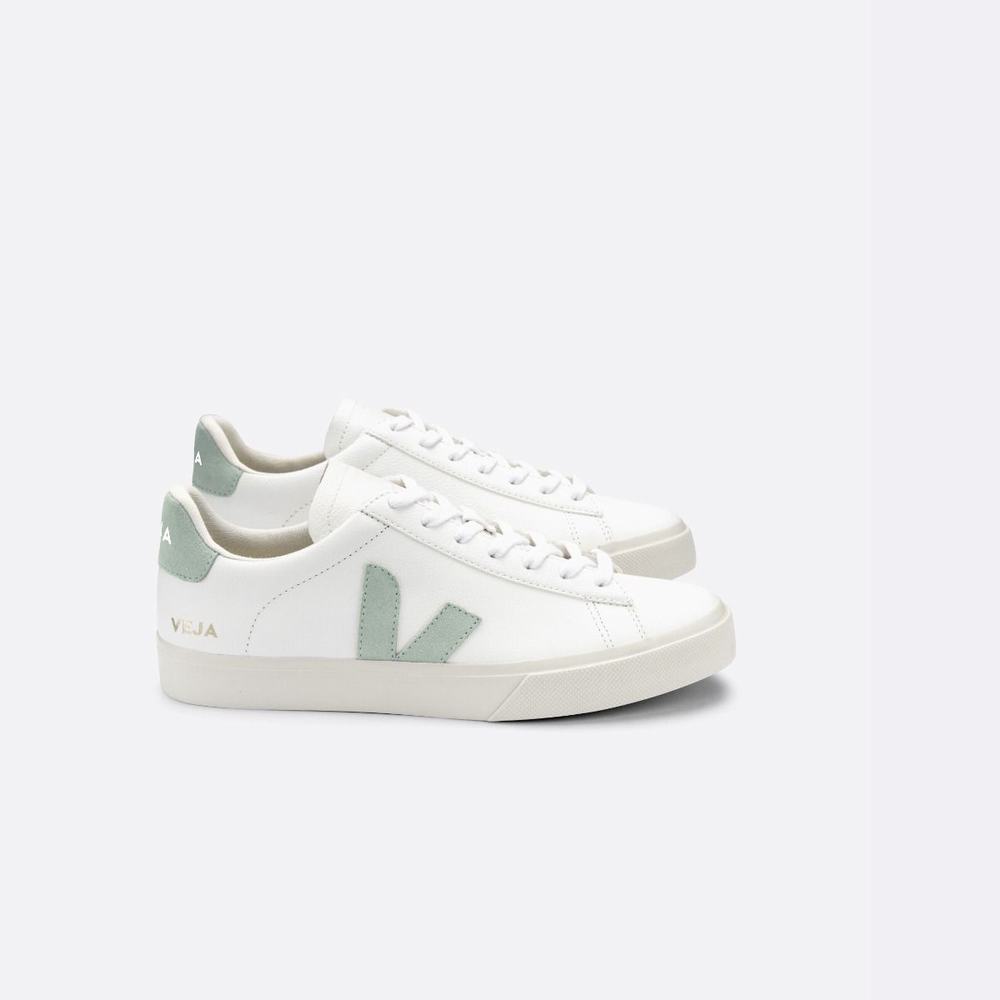 Women\'s Veja Campo Chromefree Sneakers White | UAE-31678