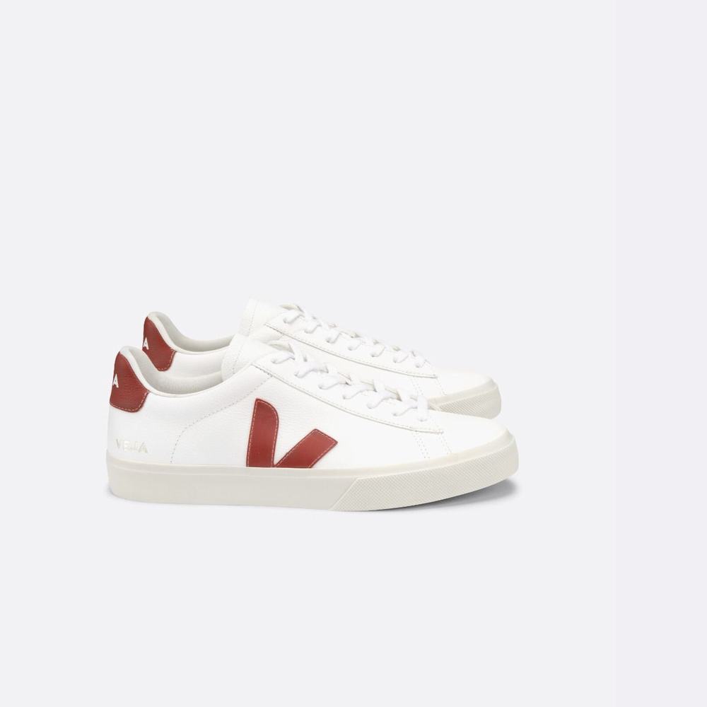 Women\'s Veja Campo Chromefree Sneakers White | UAE-56293