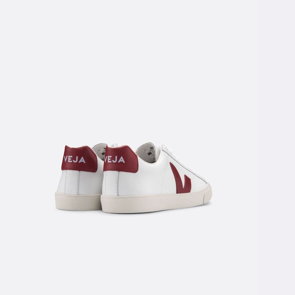 Women's Veja Esplar Leather Sneakers White | UAE-08951