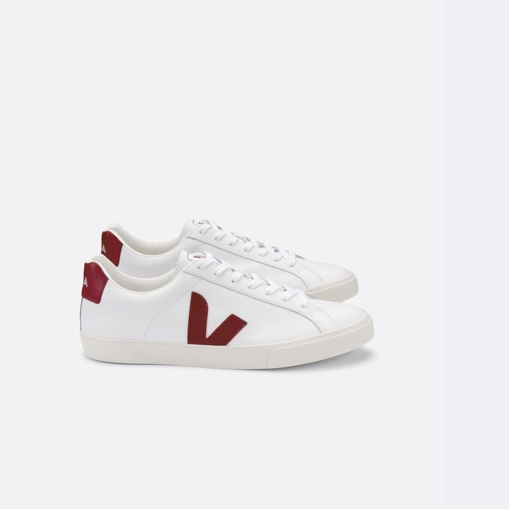 Women\'s Veja Esplar Leather Sneakers White | UAE-08951