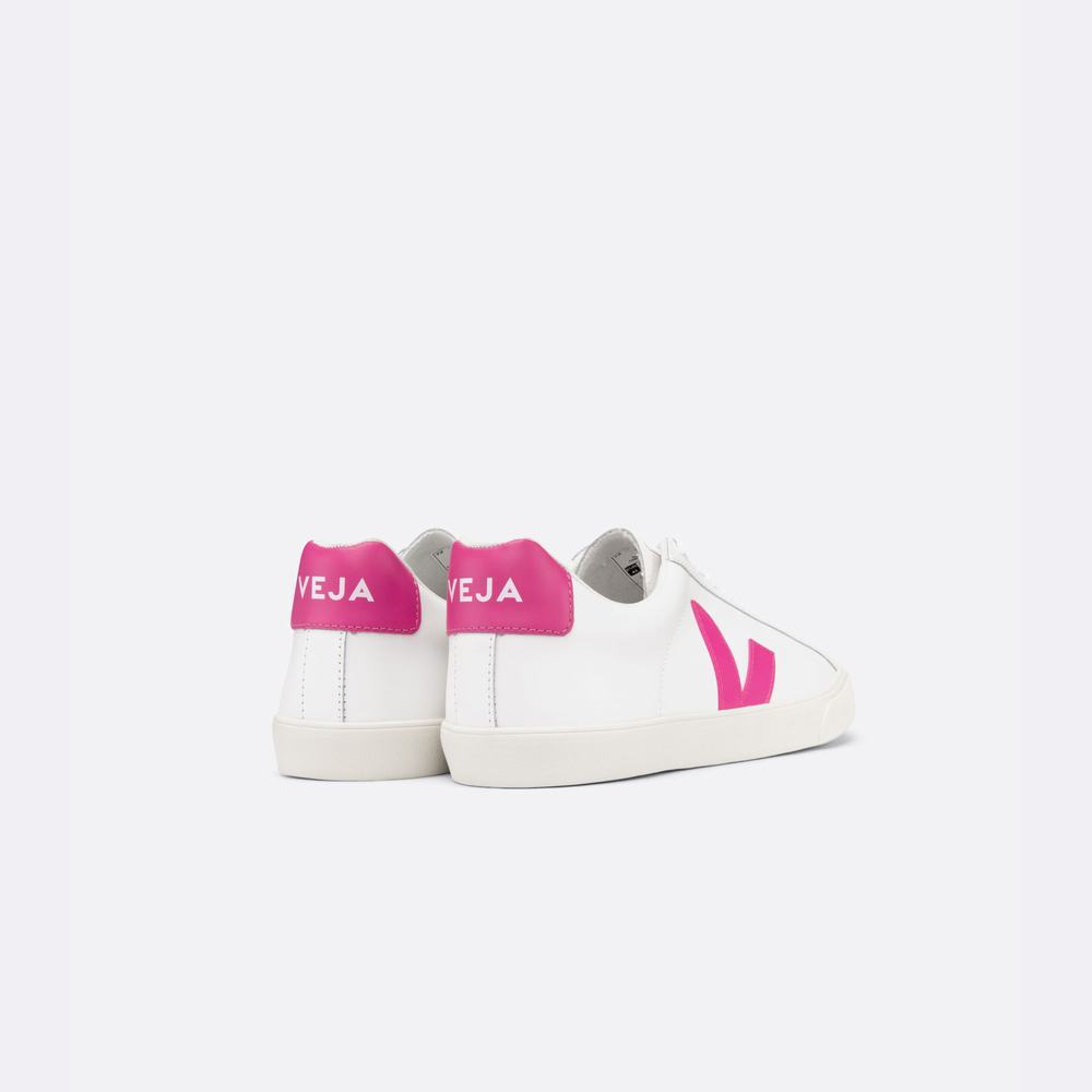 Women's Veja Esplar Leather Sneakers White | UAE-16748