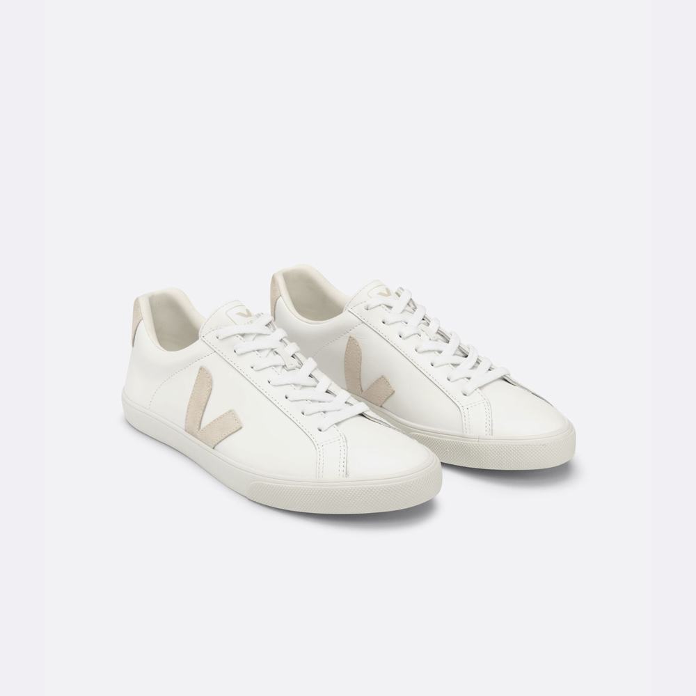 Women's Veja Esplar Leather Sneakers White | UAE-64059