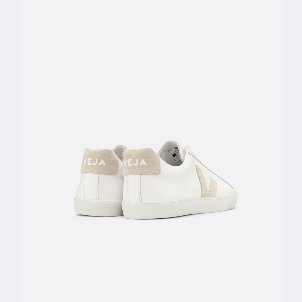 Women's Veja Esplar Leather Sneakers White | UAE-64059