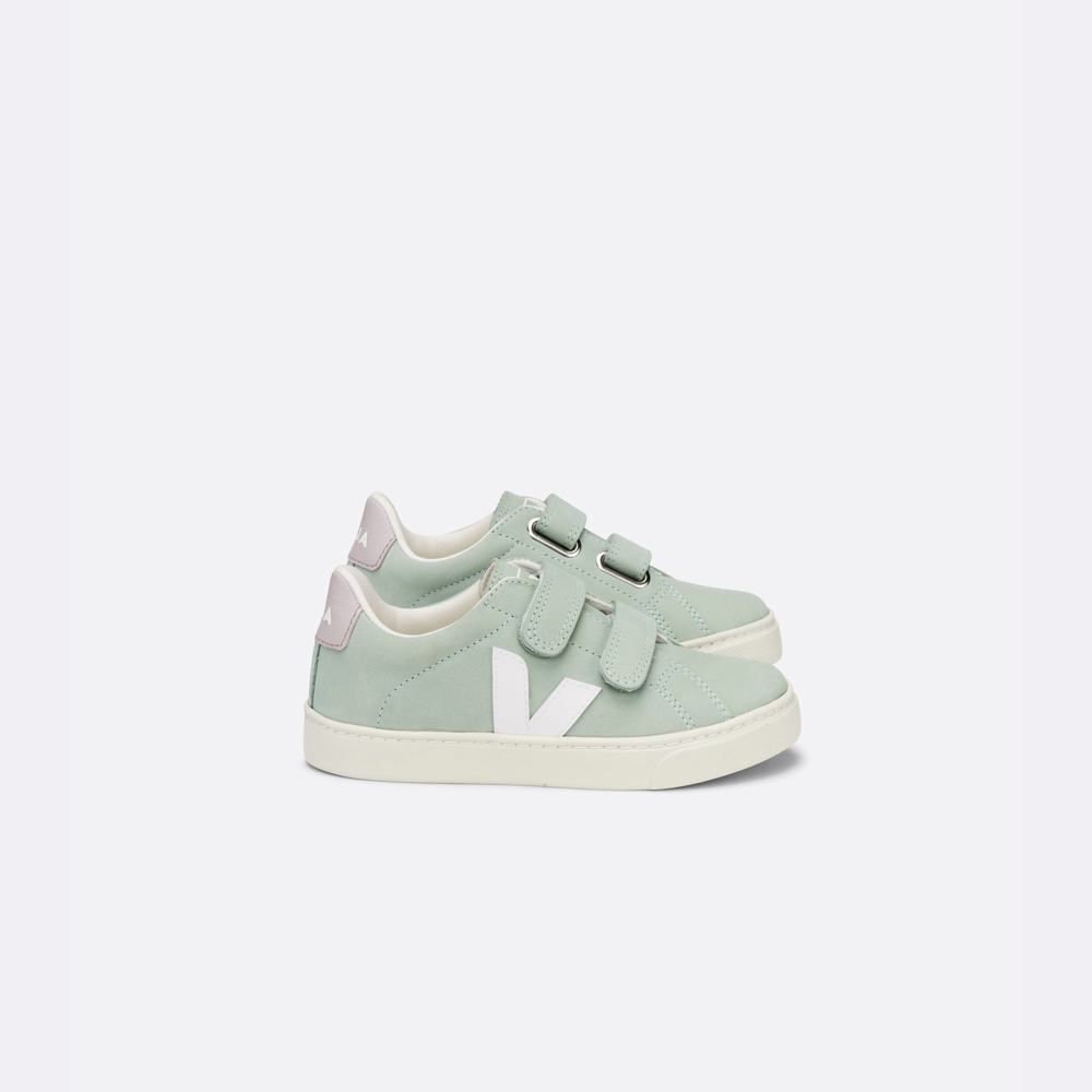 Kids' Veja Esplar Nubuck Sneakers White | UAE-36278