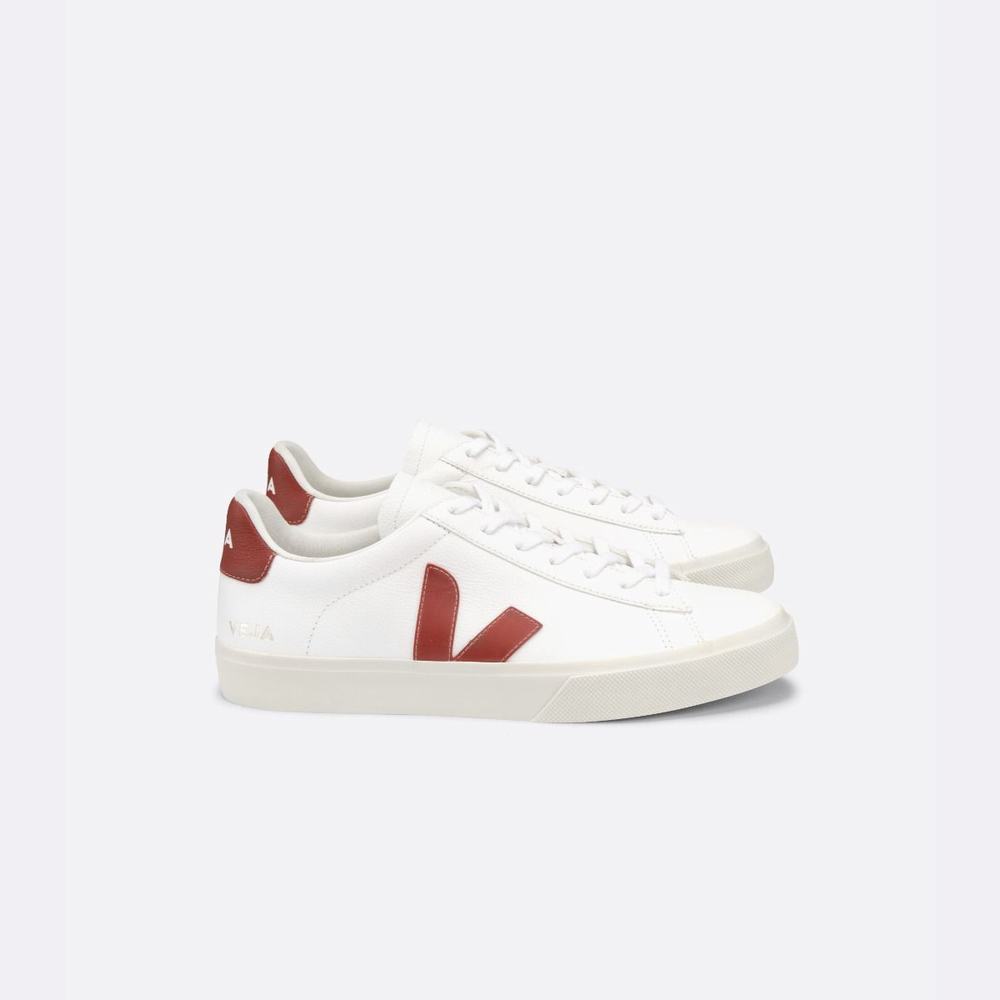 Men's Veja Campo Chromefree Sneakers White | UAE-51320