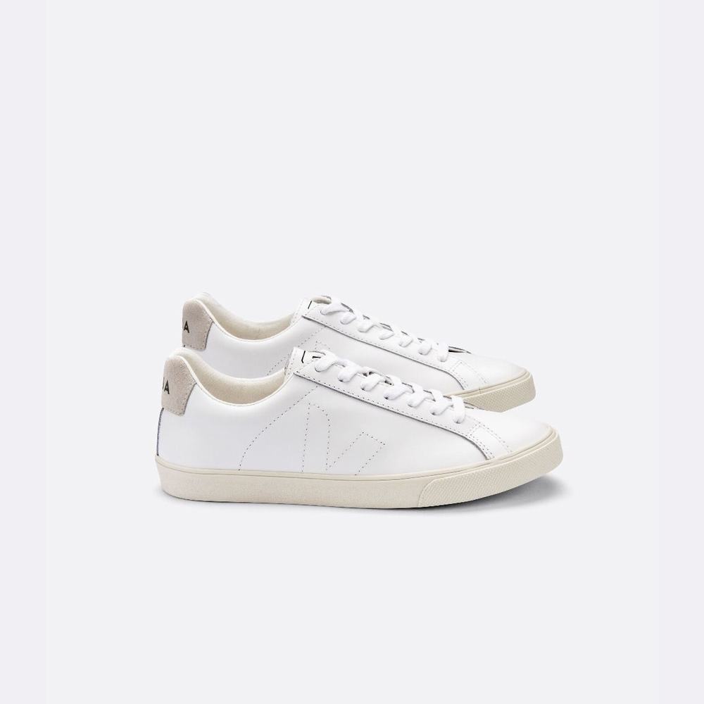 Men's Veja Esplar Leather Sneakers White | UAE-74129