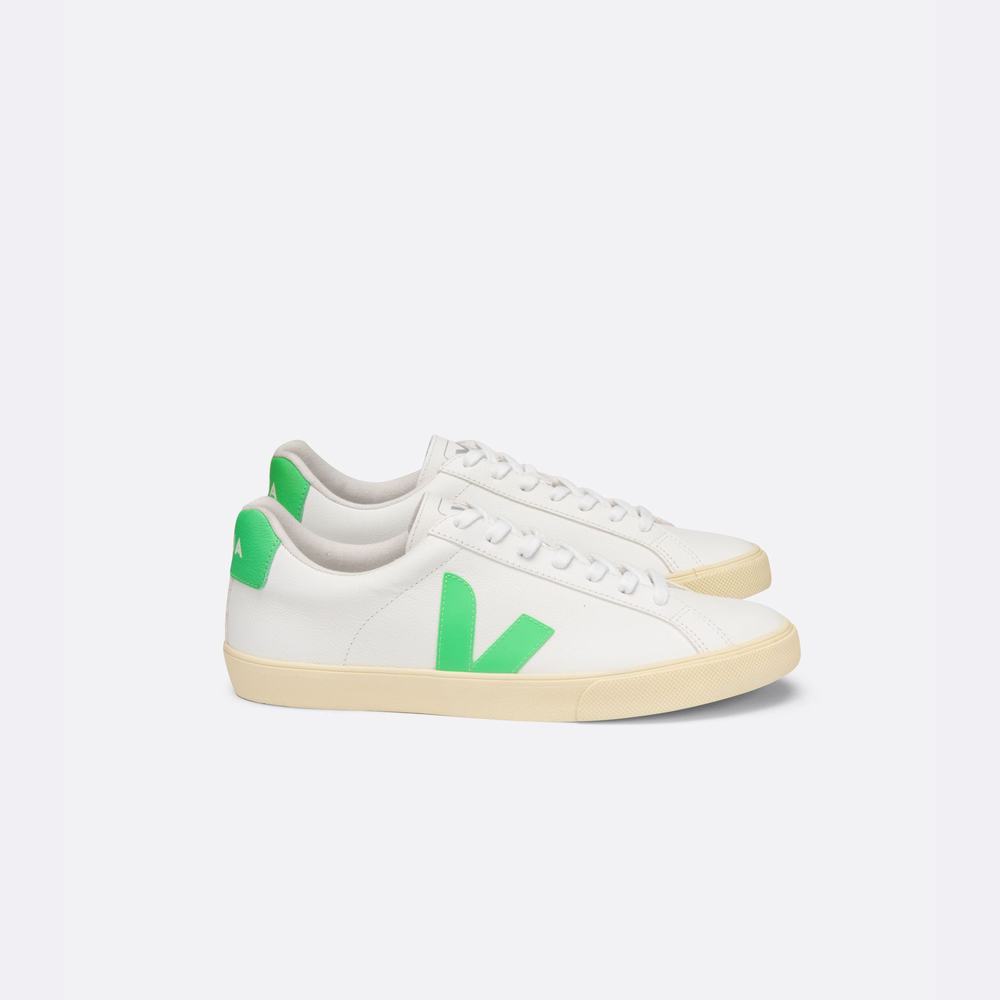 Women's Veja Esplar Chromefree Sneakers White | UAE-43260